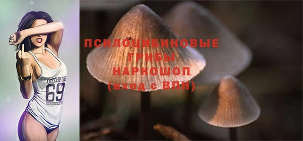 эйфоретик Богородск