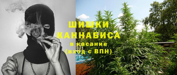 эйфоретик Богородск