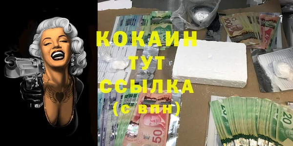 таблы Богородицк