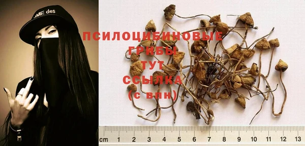 таблы Богородицк