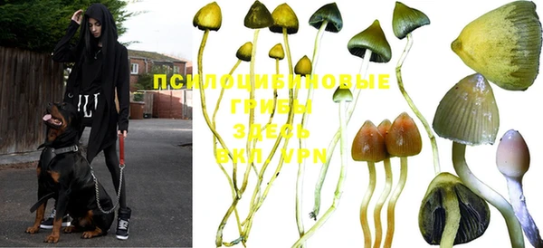 эйфоретик Богородск