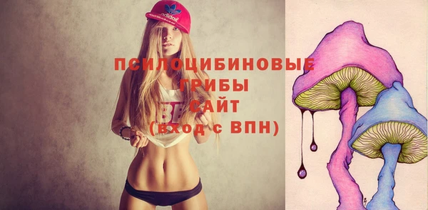 таблы Богородицк