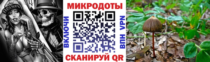 Галлюциногенные грибы прущие грибы  наркотики  мега рабочий сайт  Наро-Фоминск 