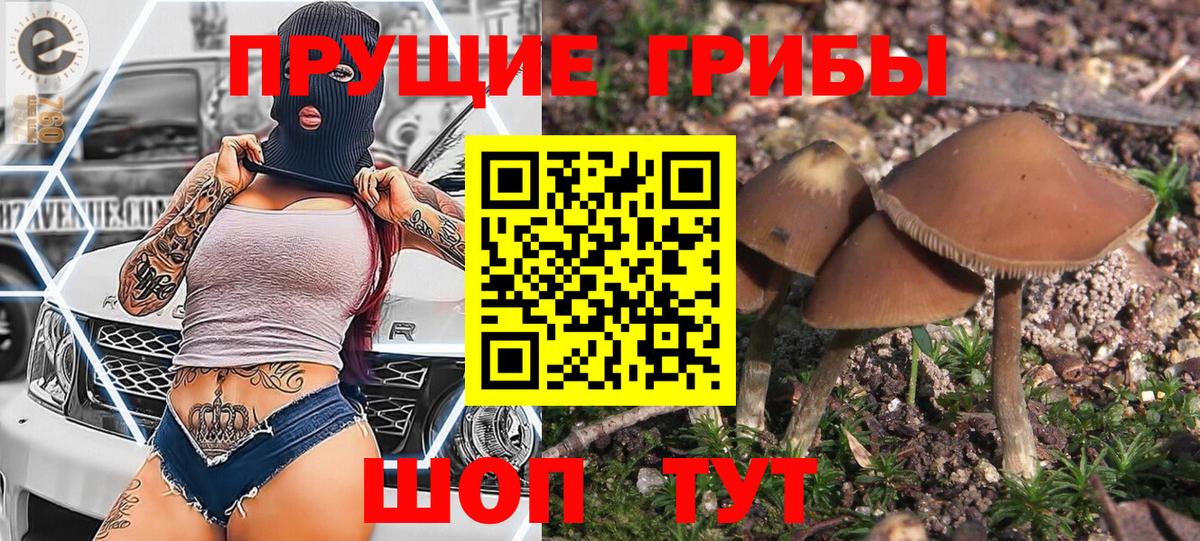 Галлюциногенные грибы Cubensis  Вход с VPN  Наро-Фоминск 
