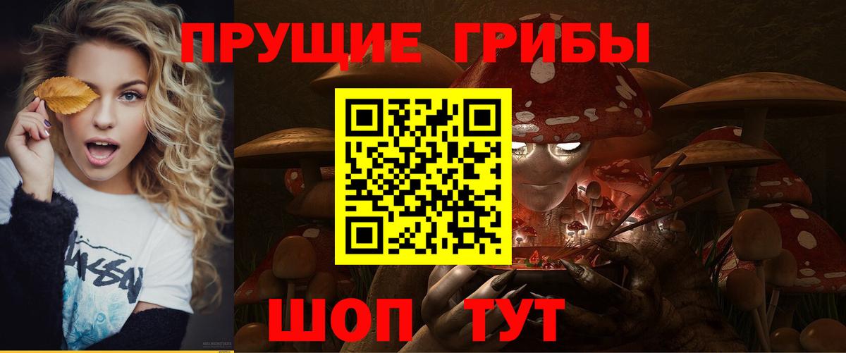 Псилоцибиновые грибы Psilocybe Наро-Фоминск