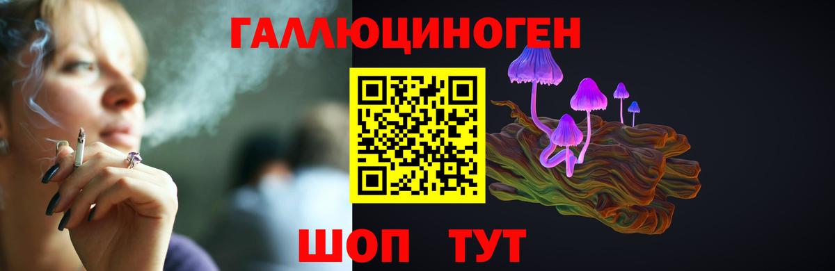 Псилоцибиновые грибы GOLDEN TEACHER Наро-Фоминск